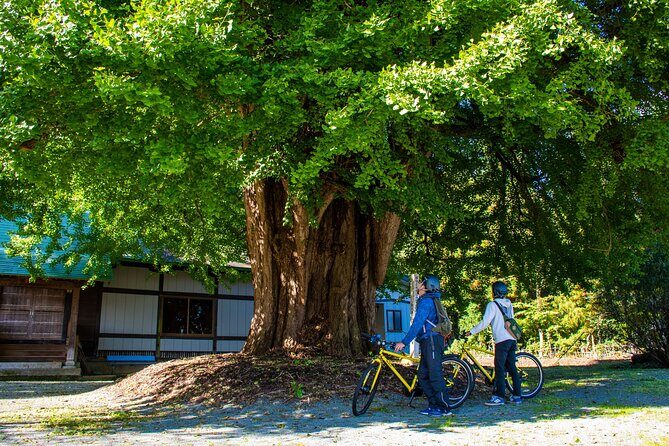 3 Hour Cycling Tour in Kakunodate - Timing matters: good weather is part of the plan
