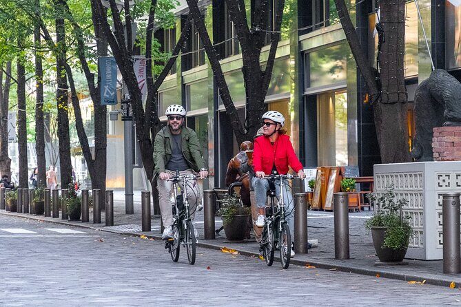 3-Hour Tokyo Private E-Bike Tour Starting from Your Hotel - Key things to know before you go