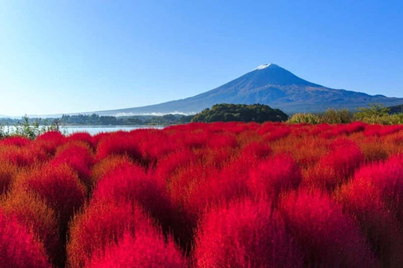 3-Row Luxury Bus Tour to Mt. Fuji, Lake Kawaguchi from Tokyo - A day built around Fuji angles (not just one photo stop)