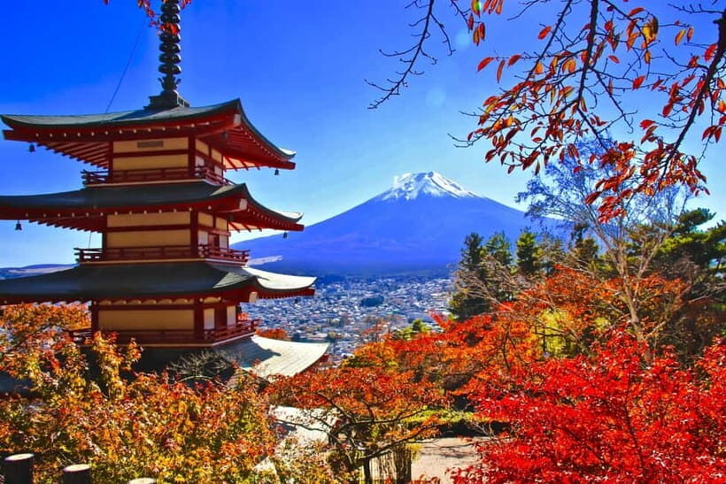 3-Row Luxury Bus Tour to Mt. Fuji, Lake Kawaguchi from Tokyo - Morning pickup: two Tokyo meeting options, one Shinjuku finish