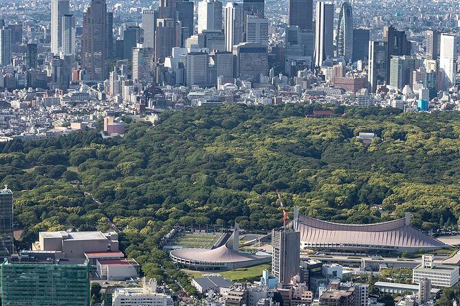 30-Min Tokyo Central Private Heli Tour– Asakusa, Skytree, Shibuya - Imperial Palace and the National Olympic Stadium: Seeing Tokyo’s Big Anchors