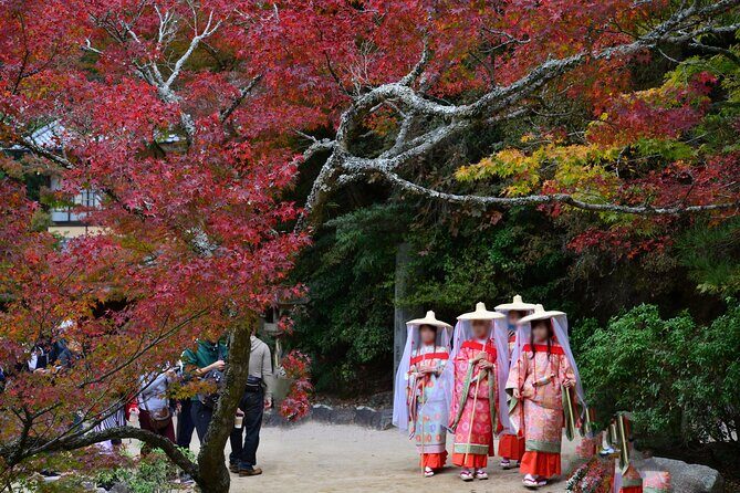 4 Hour Miyajima PRIVATE Tour - Food and hands-on experiences: what you might taste (and what to ask for)