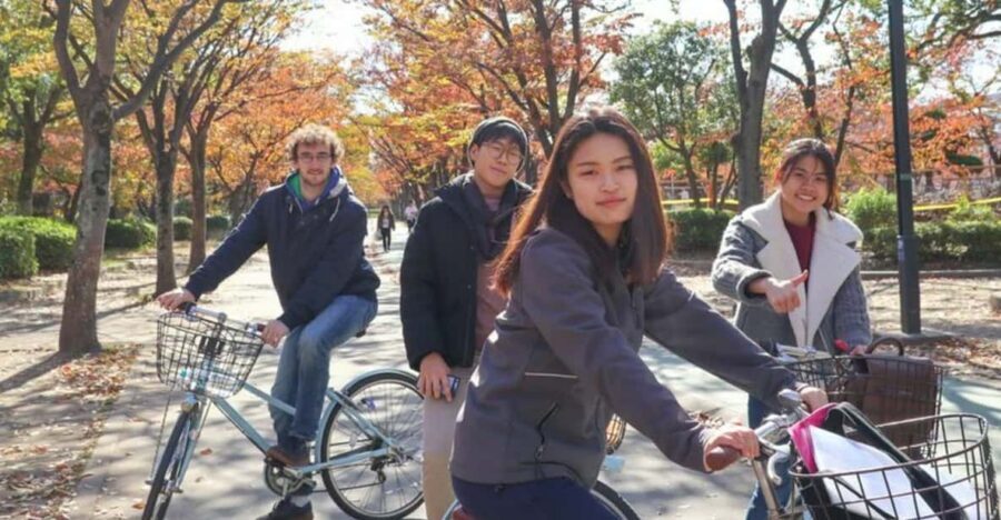5-Hour Osaka Highlights Bike Tour with Lunch - Price and value: what $85 buys you in time saved