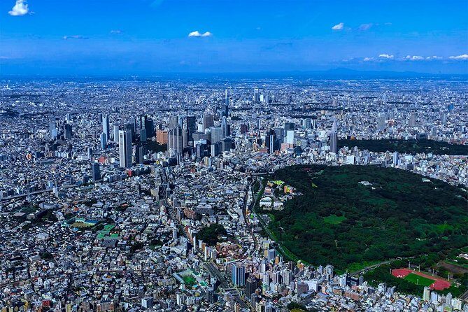 75-Min Mt. Fuji Half Day Private Helicopter Tour - Cruising the Views: Tokyo From Above to Fuji Daydreams