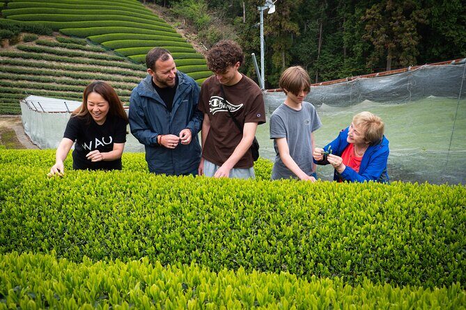 7hr Private Wazuka True Hidden Kyoto Matcha Farm Experience - Private pickup and a 10:00 am start that works with Kyoto plans