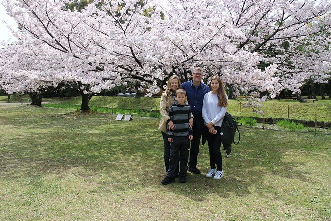 8-hour Tokyo tour by qualified tour guide using public transport - Tokyo Tower at 150 Meters: Classic Skyline Time
