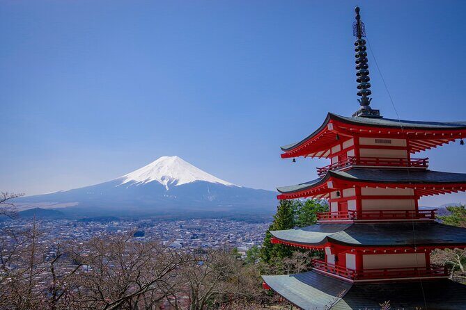 9-Day Japan and South Korea Highlight Tour - First Steps in Narita: Pickup, Check-In, and Time to Reset