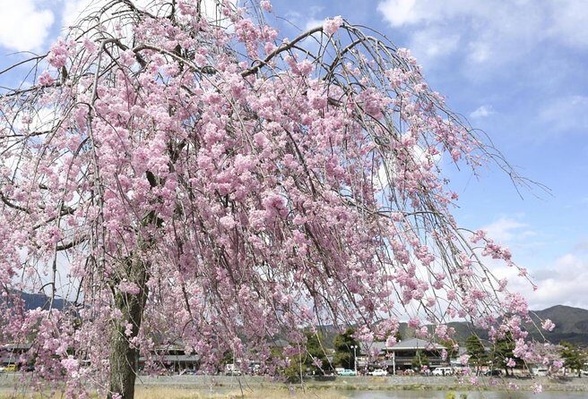 9-Day Japan and South Korea Highlight Tour - Seoul Arrival Day: A 5-Hour Food-and-Drinks Route Through Real Neighborhoods