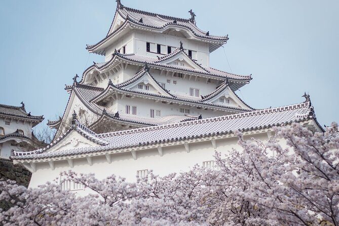 9-Day Japan and South Korea Highlight Tour - Tokyo in One Full Day: Meiji Jingu to Tsukiji to Asakusa