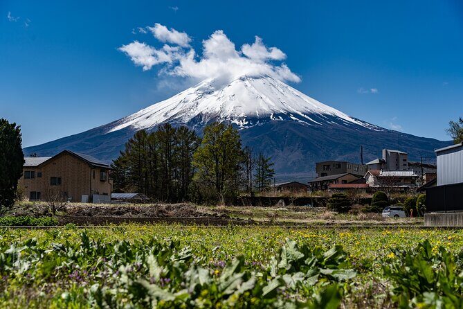 A class on Making Hoto, Yamanashi's Traditional Dish - Quick Practical Tips Before You Go