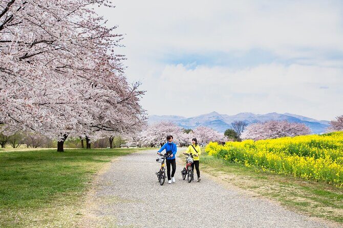 Akagi Great countryside e-bike tour - Who this tour fits best (and who might skip it)