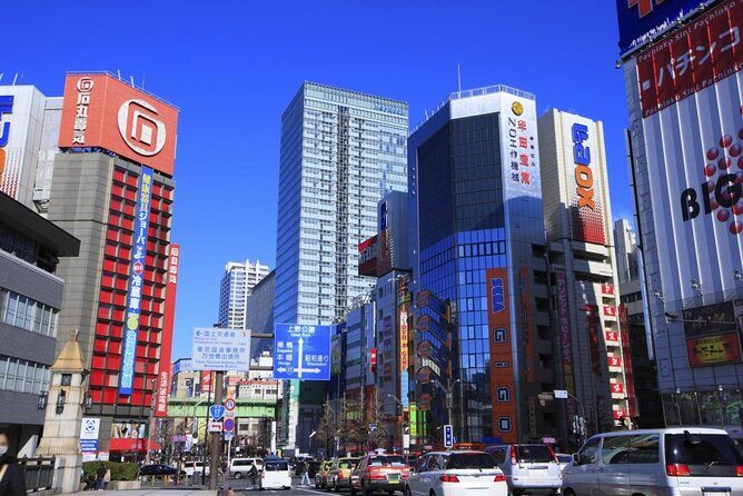 Akihabara Otaku Group Tour - Key things I’d focus on before you go