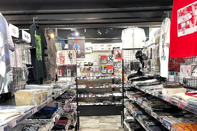 Akihabara Otaku Group Tour - Shopping strategy: how to get better value without regret
