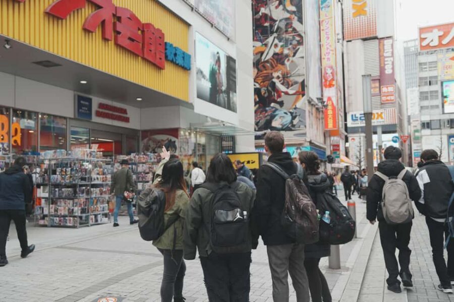 Akihabara Otaku Group Tour - Who this tour fits best (and who should skip it)