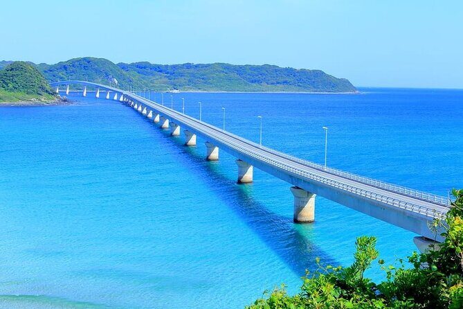 Akiyoshido Cave & Motonosumi Shrine Coastline & Spelunking Tour - A 9–10 Hour Kyushu Loop That Mixes Cave and Coast