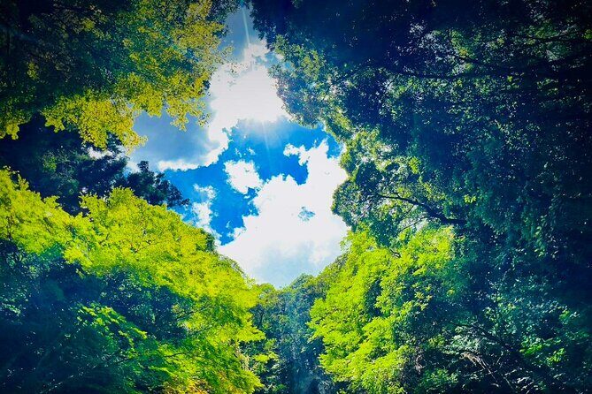 Akiyoshido Cave & Motonosumi Shrine Coastline & Spelunking Tour - Price and Value: What Your $88 Actually Buys