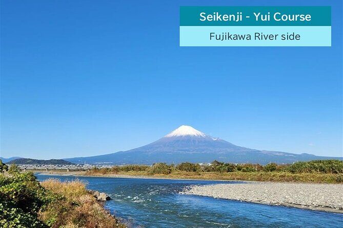 All-about Mt.Fuji Short Tour from Shimizu Port - Nihondaira–Pine Tree Course: plateau views and UNESCO pine trees