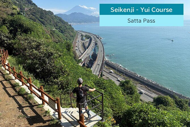 All-about Mt.Fuji Short Tour from Shimizu Port - Wagashi Tea Time: make your own Mt. Fuji with matcha