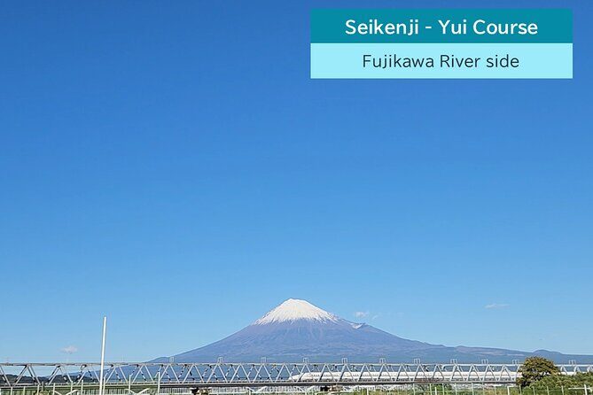 All-about Mt.Fuji Short Tour from Shimizu Port - Who this Mt. Fuji short tour is best for