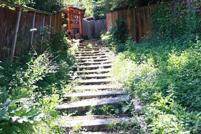 ALL INCLUDED:Short Exclusive Hidden Kyoto Private Tour with Local - Zen temple morning: one of the most interesting parts