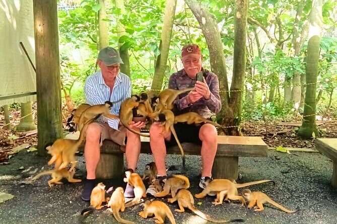 All-Inclusive Ishigaki Island Shore Excursion with English Guide - Yaima Village: Yaeyama island life in preserved streets