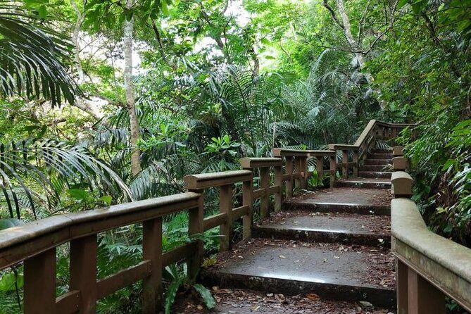 All-Inclusive Ishigaki Island Shore Excursion with English Guide - Banna Park: easy subtropical nature, 40 minutes