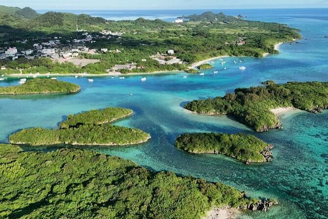 All-Inclusive Ishigaki Island Shore Excursion with English Guide - Meeting at Ishigaki New Cruise Berth and riding in a/c comfort