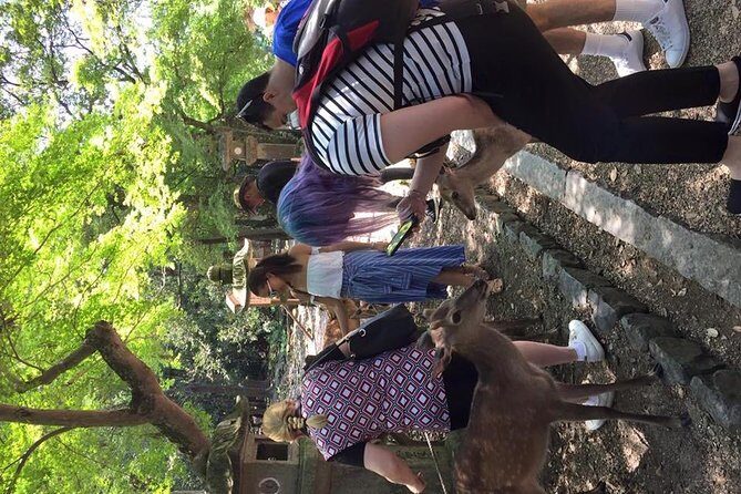 All must-sees in 3 hours - Nara Park Classic Tour! From JR Nara! - Kofuku-ji finish: five-storied pagoda photos and what to do next