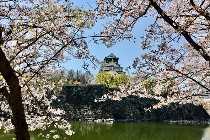 Allure of Osaka Walking Day Tour with a local guide - Namba Finish: Your 30 Minutes to Choose Your Own Osaka