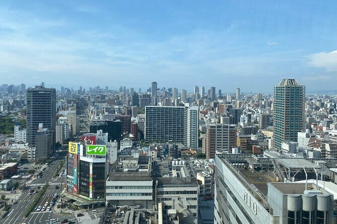 Allure of Osaka Walking Day Tour with a local guide - Getting Started at Osaka Museum of History, Ending in Namba