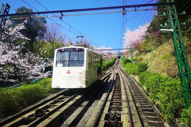 Amanohashidate & Miyama 1-Day Bus Tour: From Osaka/Kyoto w/ Lunch - Meeting point rules that can make or break your day