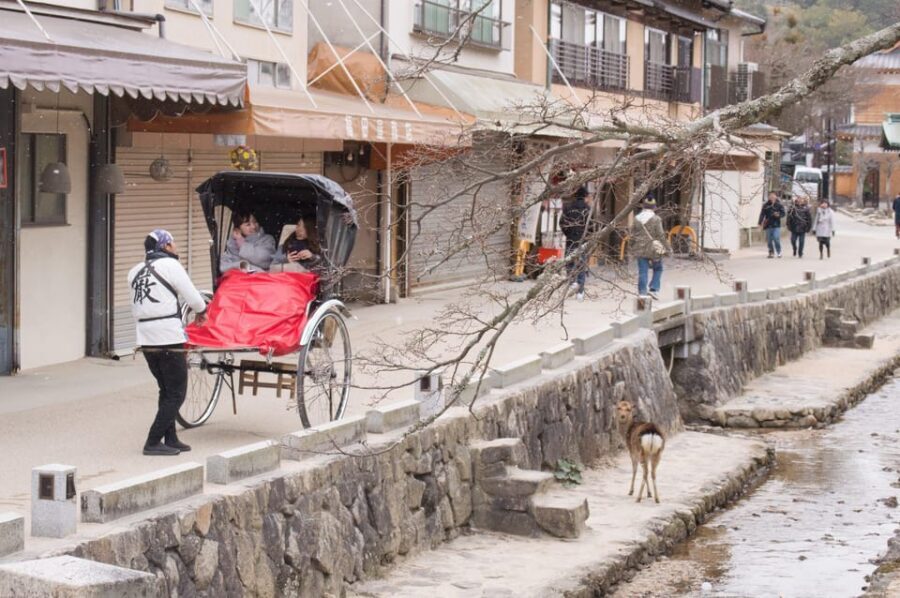 Amazing Hiroshima: Private City Tour with a Local Guide - Hiroshima’s culture reset: Hondōri, Hiroshima Castle, and Shukkeien Garden