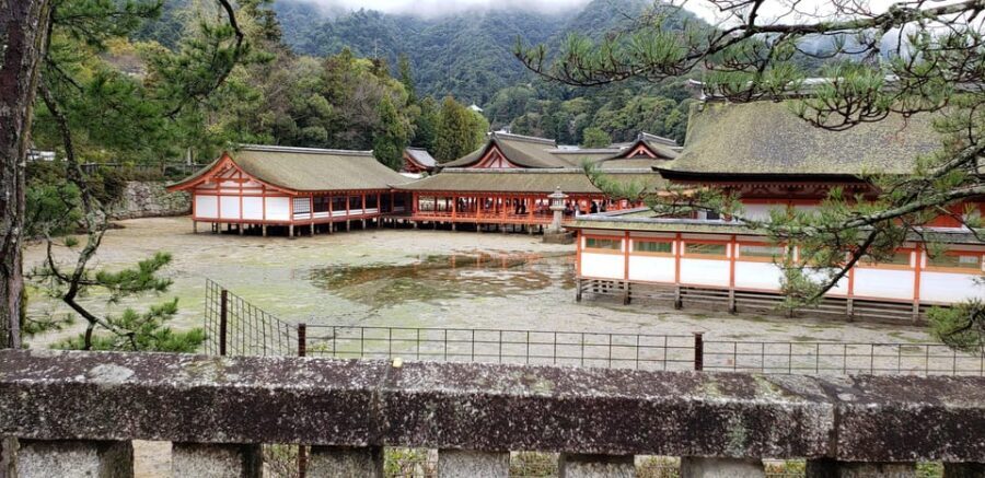 Amazing Hiroshima: Private City Tour with a Local Guide - Miyajima first impressions: spiritual atmosphere and food stops