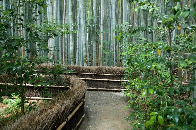Arashiyama Bamboo Forest E-Biking Tour - Why an e-bike is the smart way to do Arashiyama