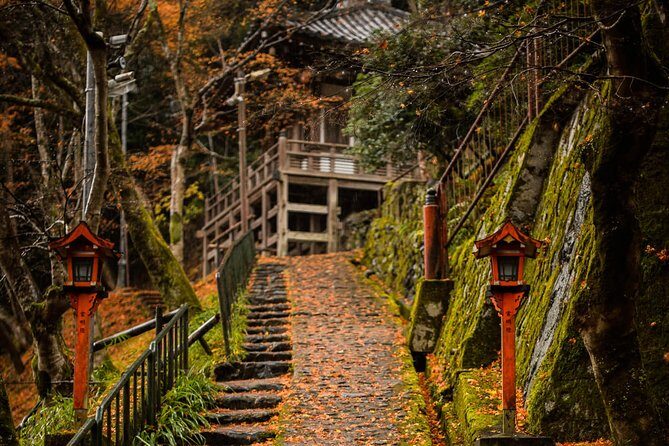 Arashiyama Bamboo Forest E-Biking Tour - Stop 2: Tōji-in Moss Temple for a calm reset
