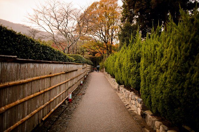 Arashiyama Bamboo Forest E-Biking Tour - The ride itself: city edges, countryside lanes, and photo time