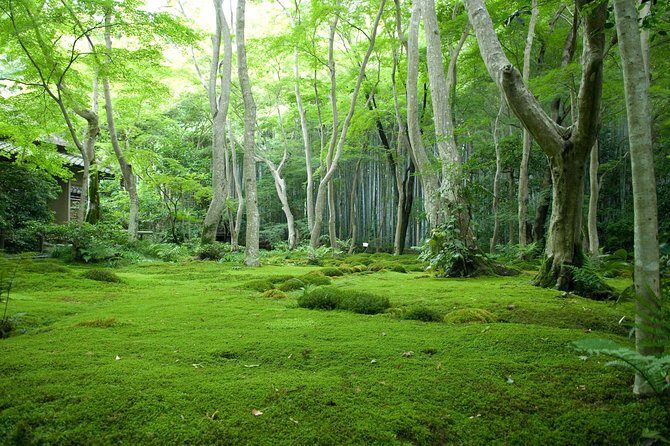 Arashiyama Bamboo Forest E-Biking Tour - How hard is 25 km on an e-bike, really?