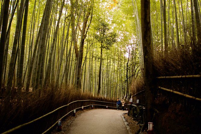 Arashiyama Bamboo Forest E-Biking Tour - Meeting at NORU Kyoto Bike Tours and starting smoothly
