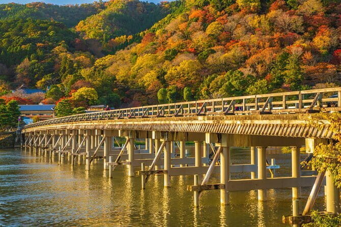 Arashiyama Bamboo & "Must See" Gardens with an Amazing Guide - Meeting in Station Country: Finding the Tour Start Smoothly