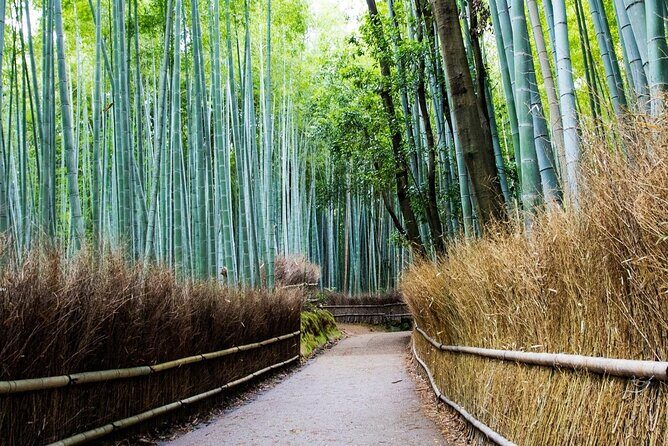 Arashiyama from Kyoto: Private & Personalized with a Local Guide - Stop-by-stop: a walking route that actually makes sense
