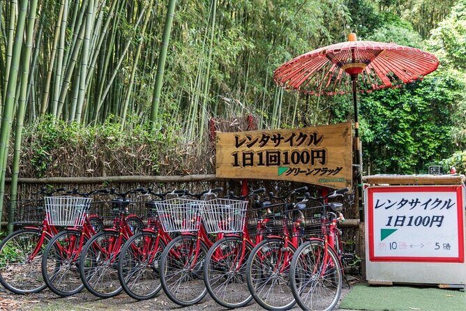 Arashiyama from Kyoto: Private & Personalized with a Local Guide - Who this Arashiyama tour fits best