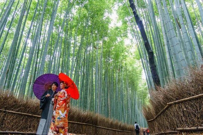 Arashiyama from Kyoto: Private & Personalized with a Local Guide - What’s included: temples, Okochi Sanso, and Monkey Park Iwatayama