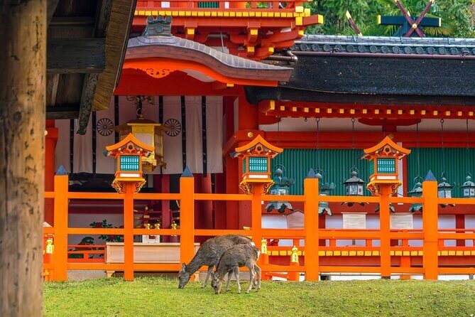 Arashiyama & Nara Highlights: One-Day Private Tour Adventure - Nara Deer Park: The Stop Everyone Talks About