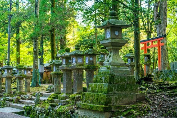 Arashiyama & Nara Highlights: One-Day Private Tour Adventure - Kasuga Grand Shrine Lantern Atmosphere