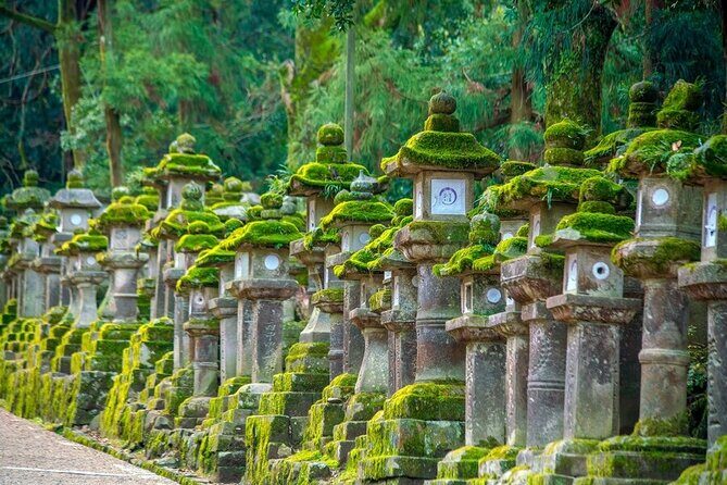 Arashiyama & Nara Highlights: One-Day Private Tour Adventure - What You’ll Notice About the Guide: Names You Can Spot