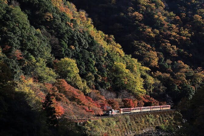 Arashiyama Walking Tour with Optional Sagano Romantic Train Ride - Why Arashiyama Works as a Smart 4-Hour Kyoto Day