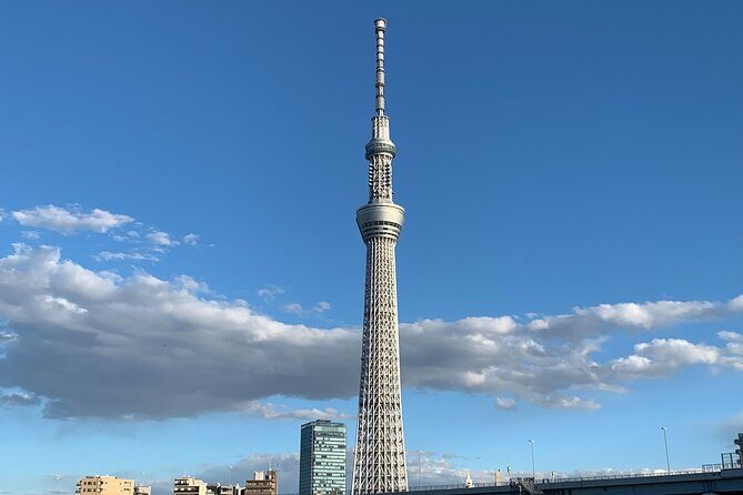 Asakusa: TOKYO SKYTREE Exploration after History Tour - Sumida River edges and Edo isolation at Sumida Park