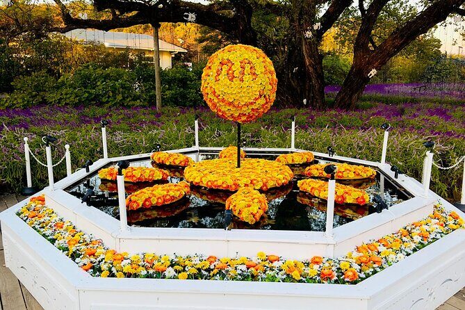 Ashikaga Flowers Park Pvt. One Day Tour with Pickup - Tokyo Station Pickup And A 10-Hour Plan That Doesn’t Feel Rushed