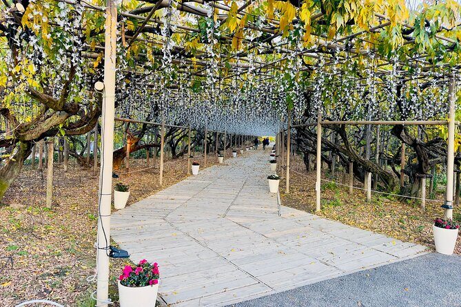 Ashikaga Flowers Park Pvt. One Day Tour with Pickup - Private Vehicle Comfort: Hotspot On Board, But Driving Style Can Vary
