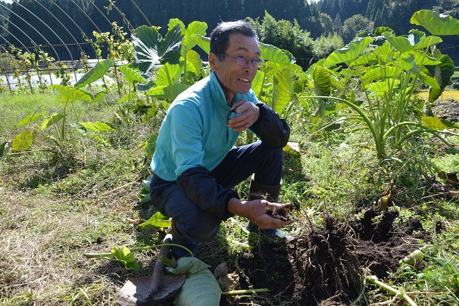 Aso Caldera and Farm Experience Tour - Weather, Shoes, and How to Plan Around the Caldera Mood
